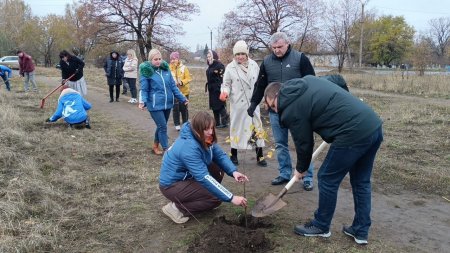 Брянковчане высадили березы на 