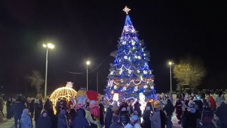 Брянковчане зажгли огни на главной елочке-красавице - единственной живой новогодней ели в ЛНР!